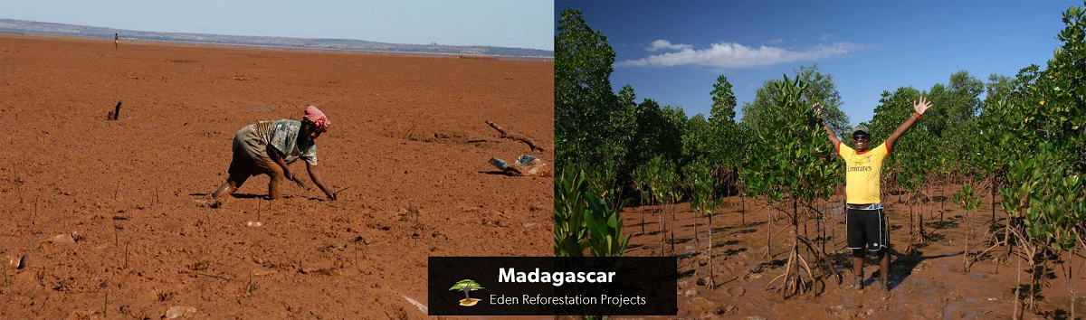 Bomen planten Eden projects madagascar