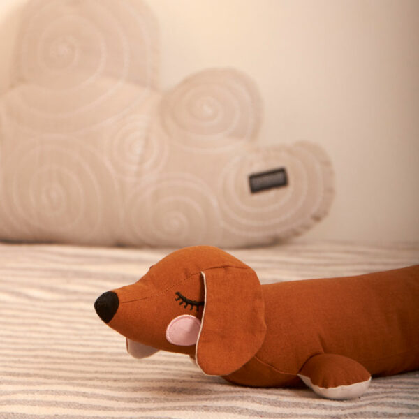 roommate-lazy-puppy-bruin-2