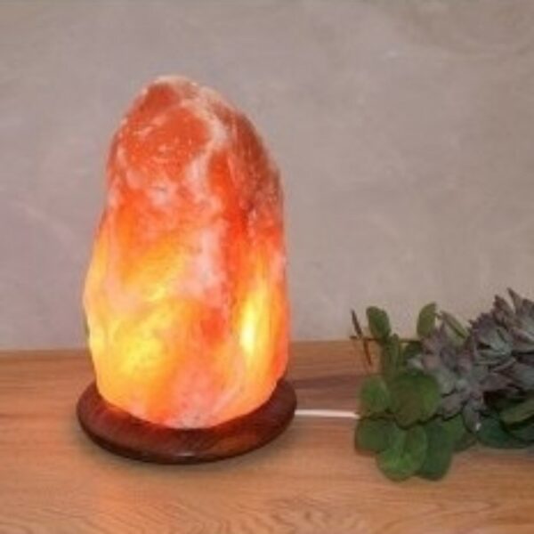 Himalaya Salt Dreams Zoutlamp | Maat l