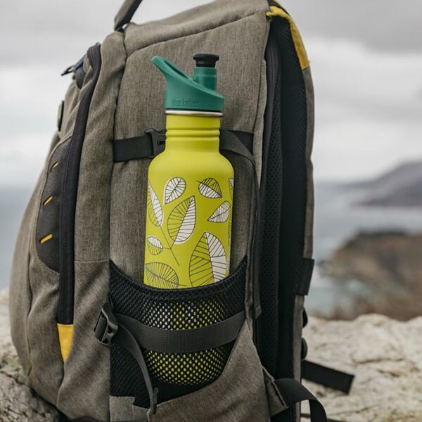 Klean Kanteen limited editions