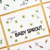 BLOOM your message Bloeikaart - Welcome Baby Sprout