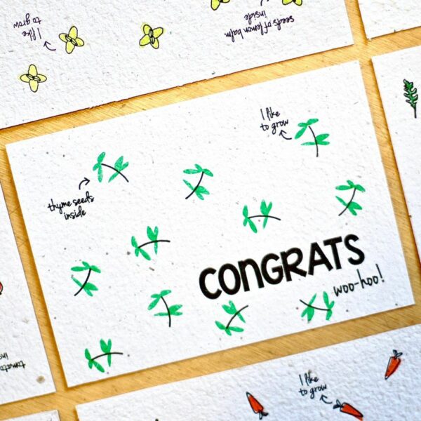 BLOOM your message Bloeikaart - congrats