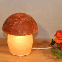 Himalaya Salt Dreams Zoutlamp Paddenstoel