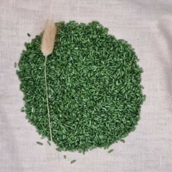 Grennn Speelrijst groen | 250 gram