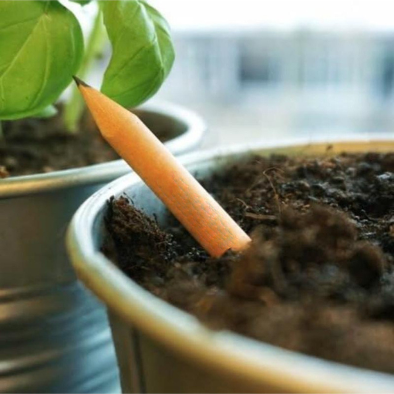 BLOOM your message Plantbaar potlood met bloemenzaadjes - Wilde bloemen